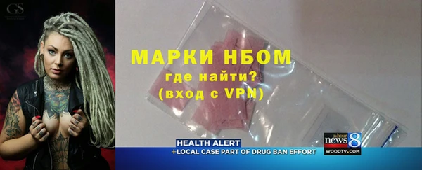 стаф Алзамай