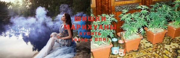 spice Алексин
