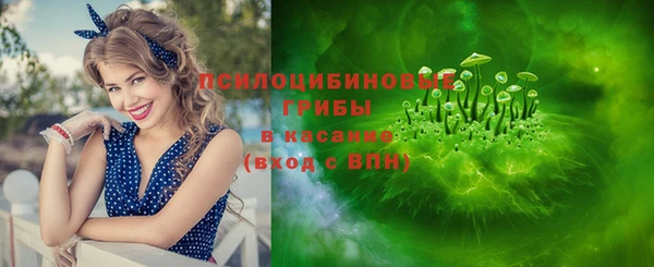 сатива Архангельск