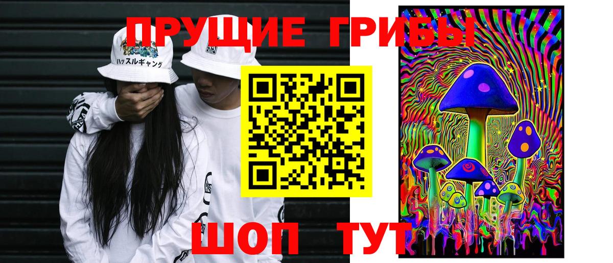 Псилоцибиновые грибы Psilocybine cubensis Находка