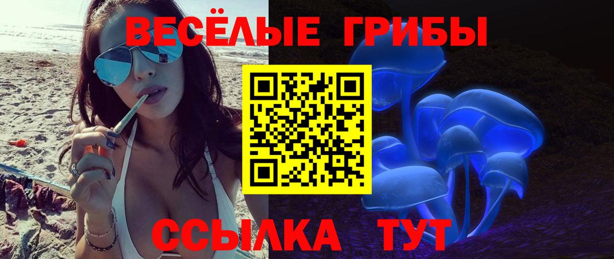 закладка  Псилоцибиновые грибы GOLDEN TEACHER  Находка  Вход с VPN  Галлюциногенные грибы GOLDEN TEACHER 
